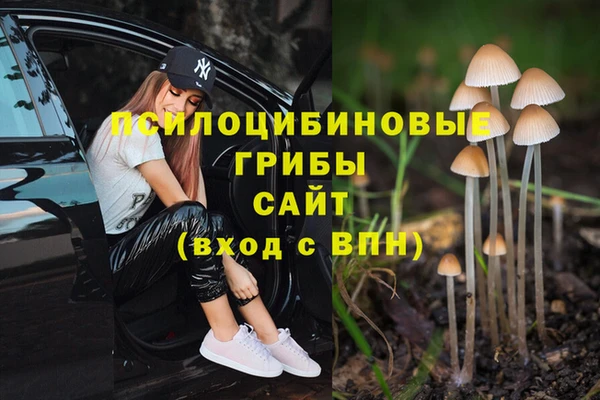 героин Кукмор