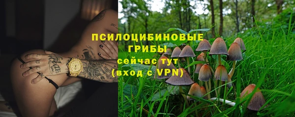 тгк Губаха